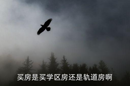 学区房和地铁房哪个值钱，买房是买学区房还是轨道房啊