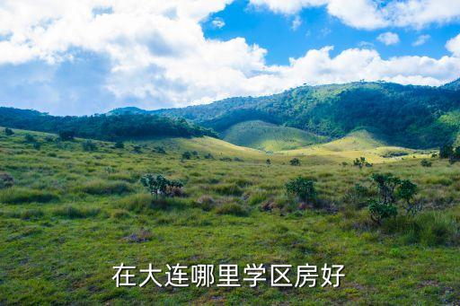 在大连哪里学区房好