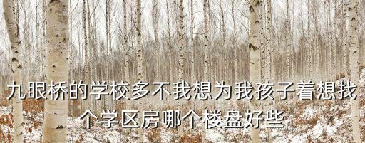 九眼桥的学校多不我想为我孩子着想找个学区房哪个楼盘好些