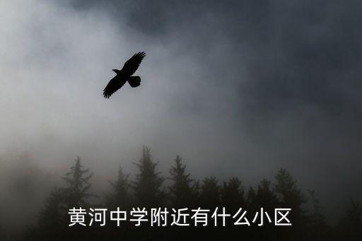 黄河中学附近有什么小区