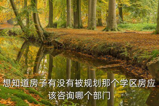 想知道房子有没有被规划那个学区房应该咨询哪个部门