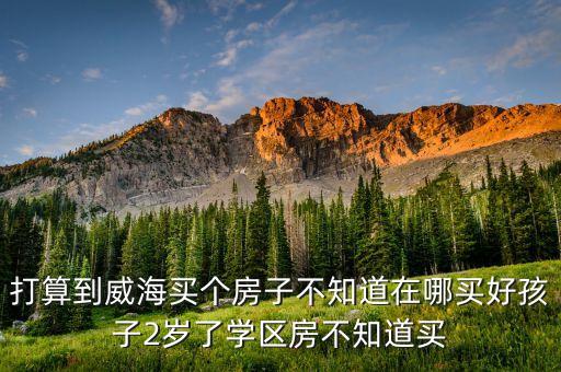 打算到威海买个房子不知道在哪买好孩子2岁了学区房不知道买
