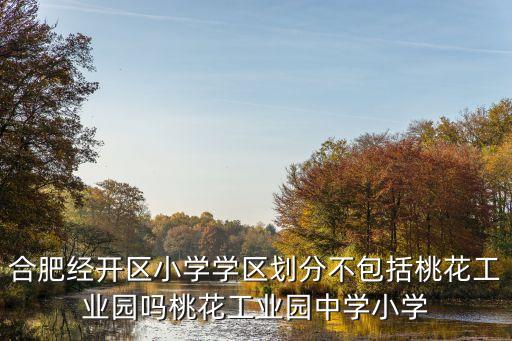 合肥经开区小学学区划分不包括桃花工业园吗桃花工业园中学小学