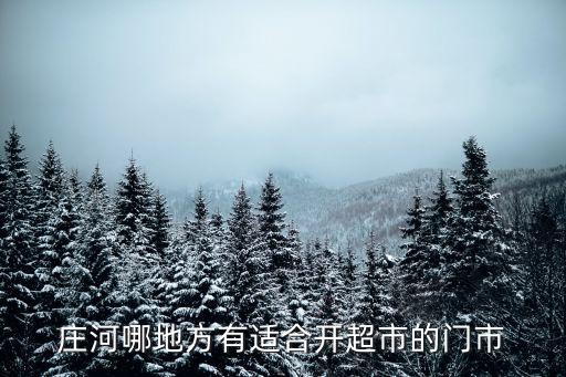 庄河哪地方有适合开超市的门市
