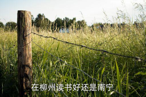 在柳州读书好还是南宁