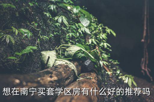 想在南宁买套学区房有什么好的推荐吗