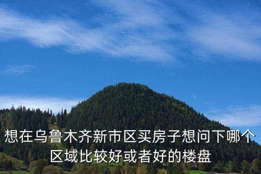 想在乌鲁木齐新市区买房子想问下哪个区域比较好或者好的楼盘