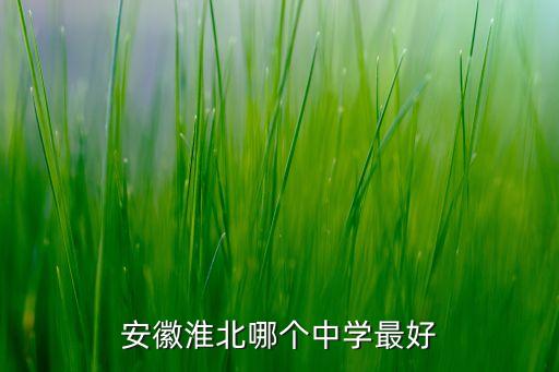 安徽淮北哪个中学最好