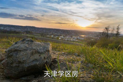 天津学区房