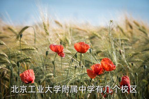 北京工业大学附属中学有几个校区