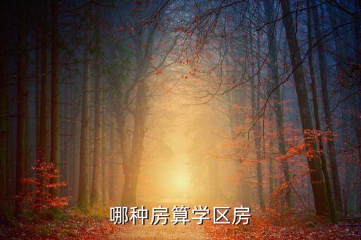 哪种房算学区房