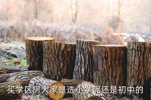 小学和初中的学区房哪个好，买个好点的中学学区房还是买个好点的小学学区房