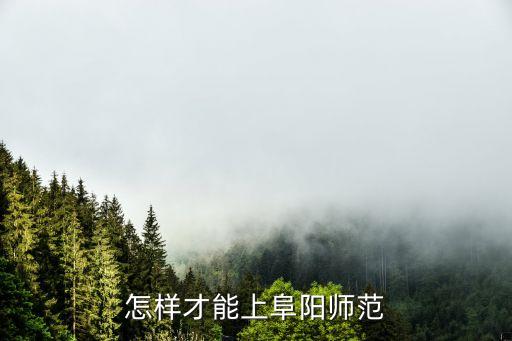怎样才能上阜阳师范