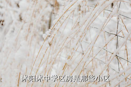 沭阳大唐印象是哪个学区房，沭阳哪个小区属于第二实验小学学区房