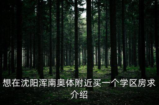 想在沈阳浑南奥体附近买一个学区房求介绍