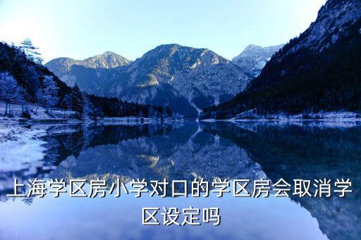 上海学区房小学对口的学区房会取消学区设定吗
