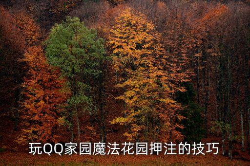 玩QQ家园魔法花园押注的技巧