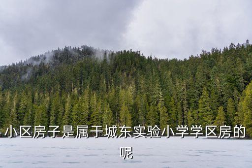 小区房子是属于城东实验小学学区房的呢