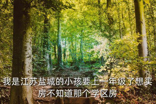 我是江苏盐城的小孩要上一年级了想买房不知道那个学区房