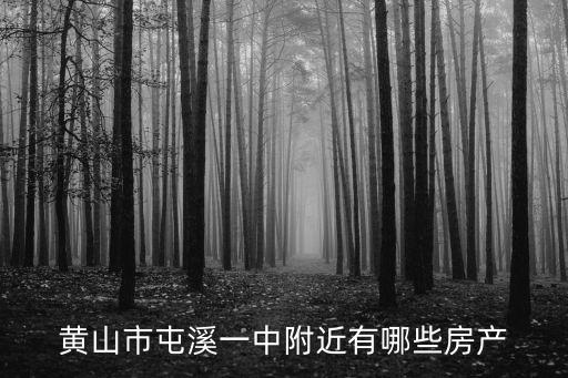 黄山市屯溪一中附近有哪些房产