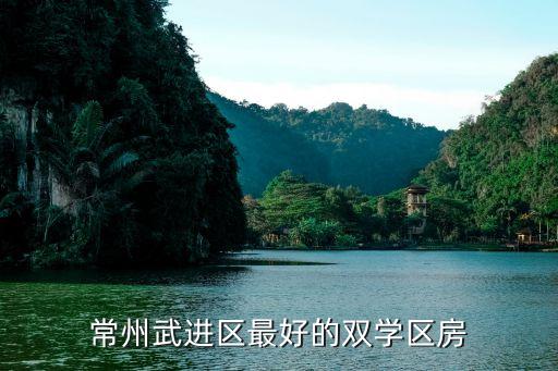 常州武进区最好的双学区房
