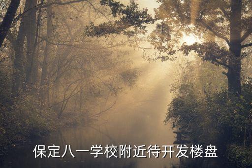 保定八一学校附近待开发楼盘