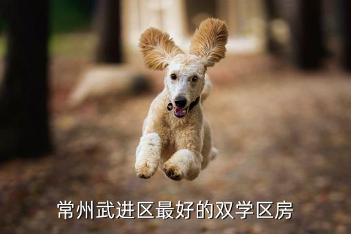 常州武进区最好的双学区房