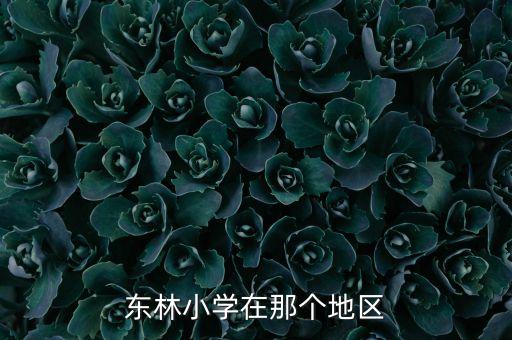 东林小学在那个地区