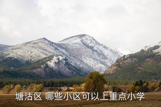 天津塘沽区哪个小学区房好，天津塘沽区广州道小学桂林路小学和向阳三小 哪个更好一点