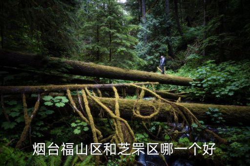 烟台福山区和芝罘区哪一个好