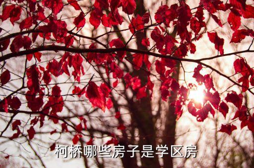 柯桥哪些房子是学区房