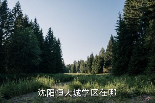 沈阳恒大城学区在哪