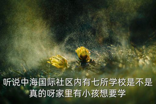 听说中海国际社区内有七所学校是不是真的呀家里有小孩想要学