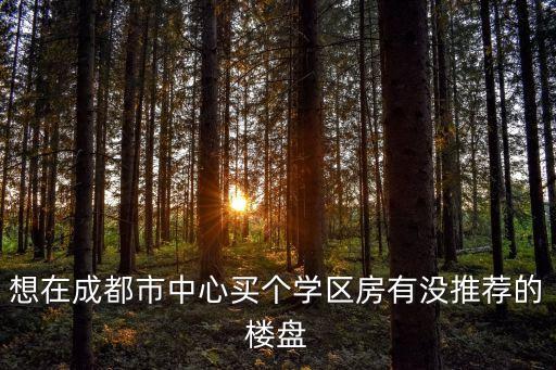 想在成都市中心买个学区房有没推荐的楼盘