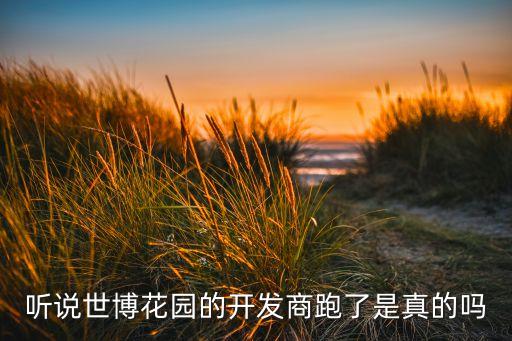 听说世博花园的开发商跑了是真的吗
