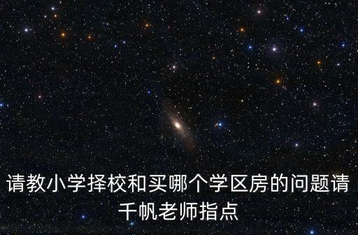 请教小学择校和买哪个学区房的问题请千帆老师指点
