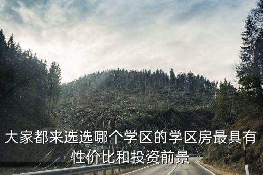 大家都来选选哪个学区的学区房最具有性价比和投资前景
