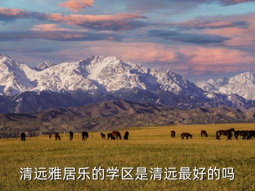 清远雅郡哪个学区房好，清远学区房