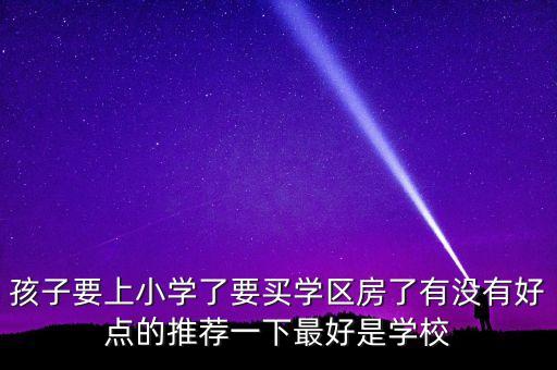 孩子要上小学了要买学区房了有没有好点的推荐一下最好是学校