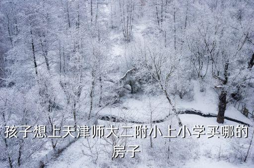 孩子想上天津师大二附小上小学买哪的房子