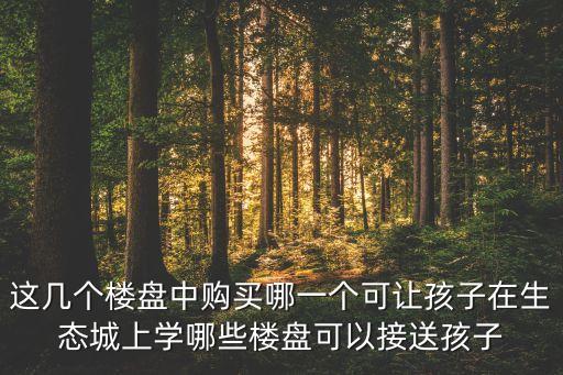 这几个楼盘中购买哪一个可让孩子在生态城上学哪些楼盘可以接送孩子