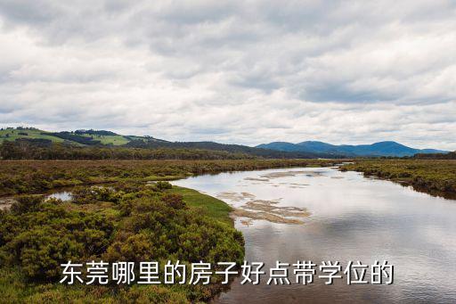 东莞松山湖学区房哪个好，东莞哪里的房子好点带学位的