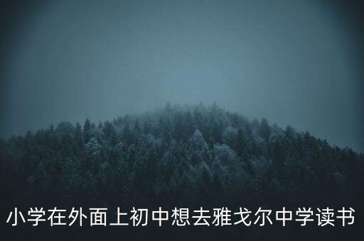 雅戈尔学区房有哪些，小学在外面上初中想去雅戈尔中学读书