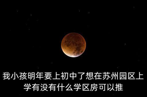 我小孩明年要上初中了想在苏州园区上学有没有什么学区房可以推