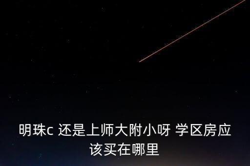 明珠c 还是上师大附小呀 学区房应该买在哪里