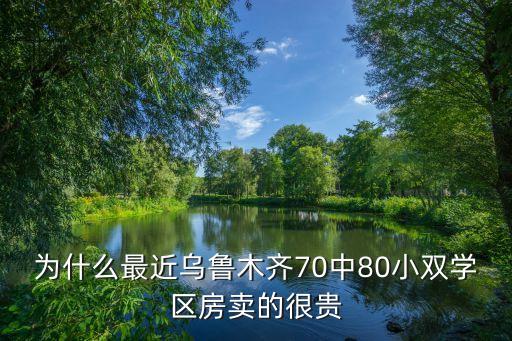 双学区房属于哪个档次，请问南京哪边的双学区房性价比更好拉小和芳草园哪个更好啊  搜