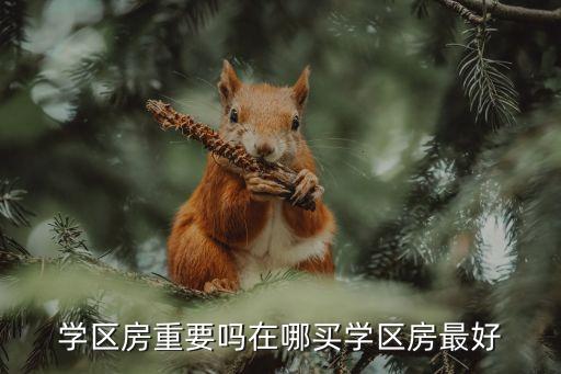 学区房重要吗在哪买学区房最好