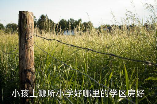 小孩上哪所小学好哪里的学区房好