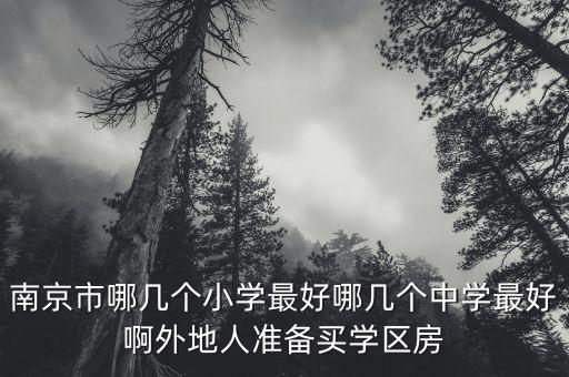 南京市哪几个小学最好哪几个中学最好啊外地人准备买学区房