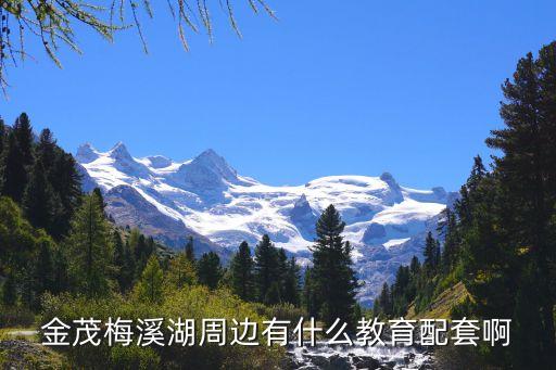 岳阳金茂哪个小学学区房好，岳阳哪家小学比较好